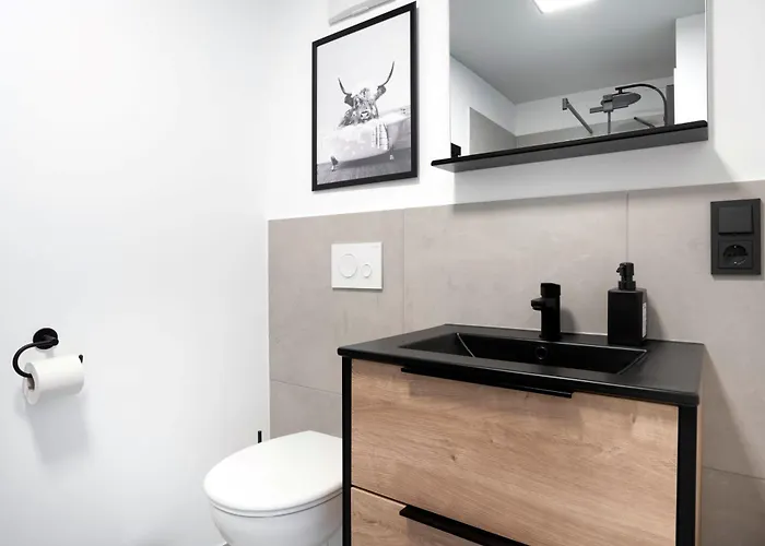 Appartamento Schicke In I Home2share Bonn